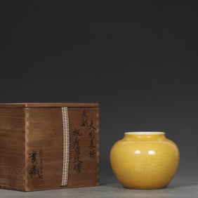 A Ming Jiajing yellow glaze longevity pattern jar