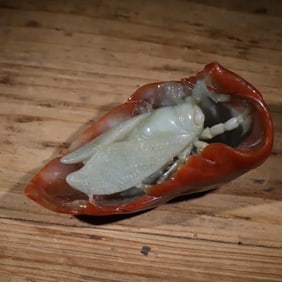 A piece of Qing Dynasty jade red-skinned jade cicada