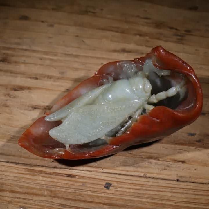 A piece of Qing Dynasty jade red-skinned jade cicada: The jade red-skinned jade cicada is a leaf of Zhiqiu, this piece is carved with the shape of the high-quality jade seed material, and the bright and rich natural red skin is wrapped in the ground to