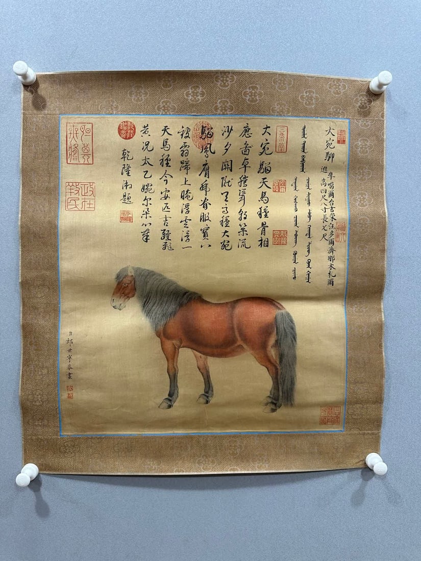 A picture of Lang Shining's horse (1 of 8)