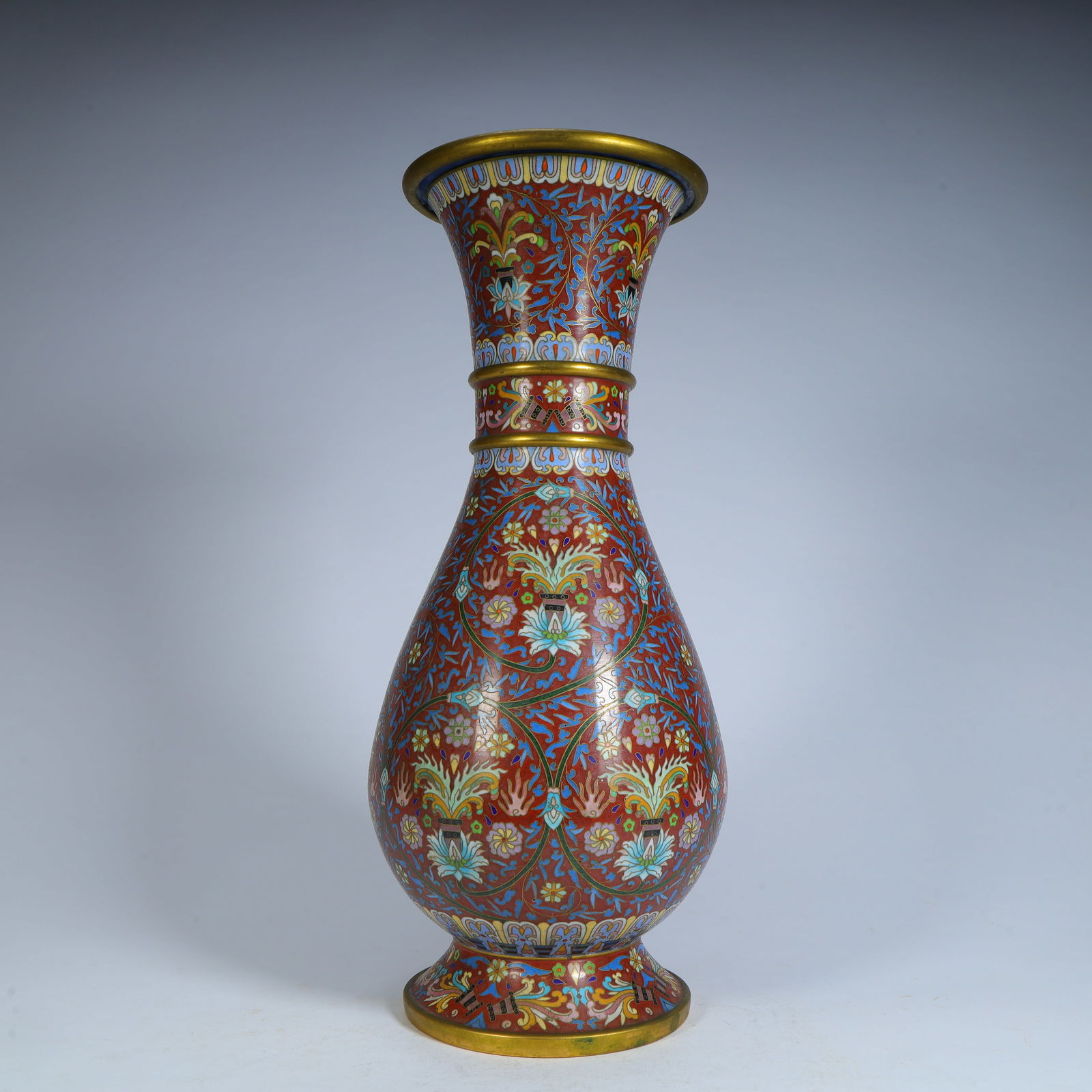 A copper-tired cloisonné enamel entwined floral vase (1 of 10)