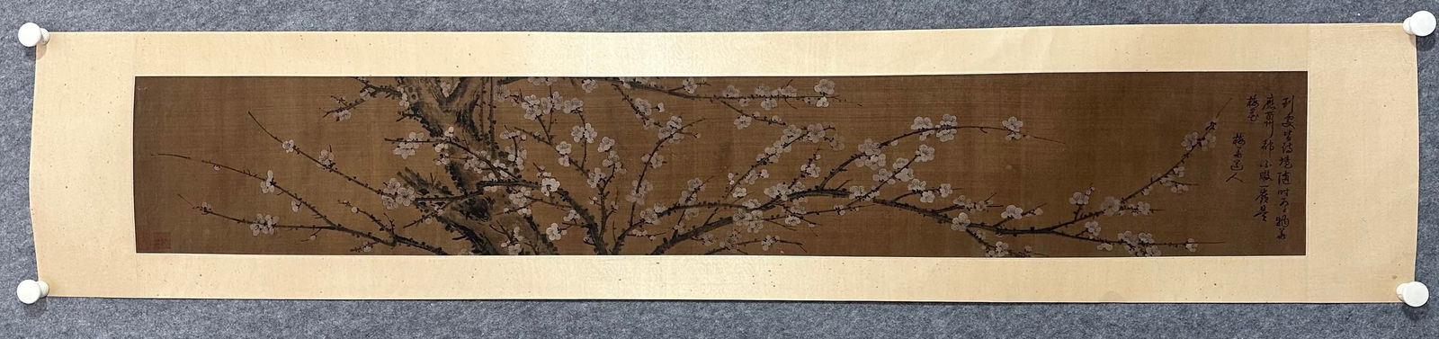 A picture of plum blossoms in Wu Town (1 of 9)