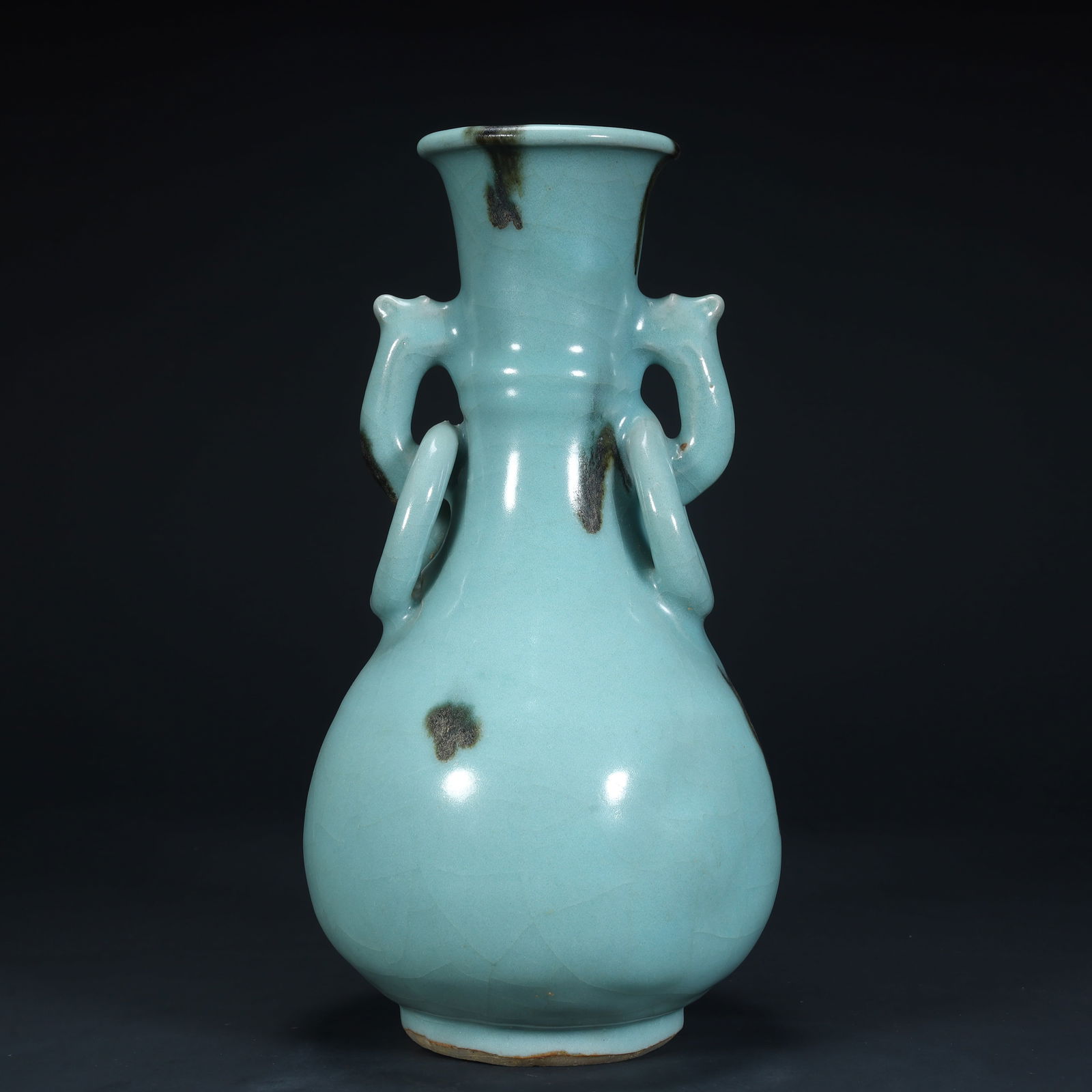 A Dairu kiln azure glaze dot color double beast ear bottle (1 of 12)