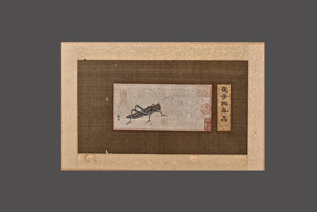 A picture of Cui Bai's grass insects (1 of 5)