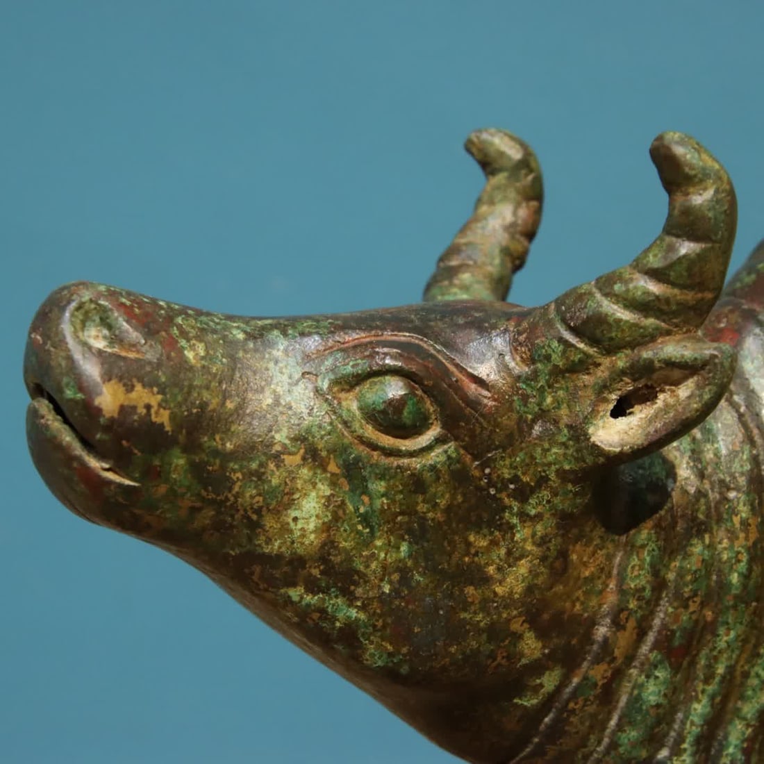 A bronze cow - 4