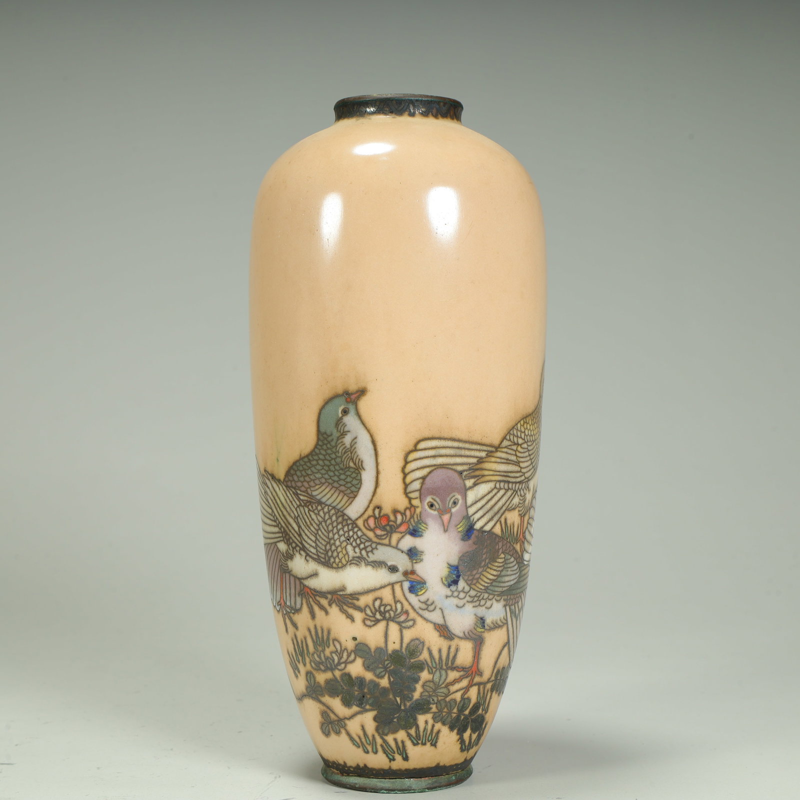A cloisonné flat dove pattern bottle - 13