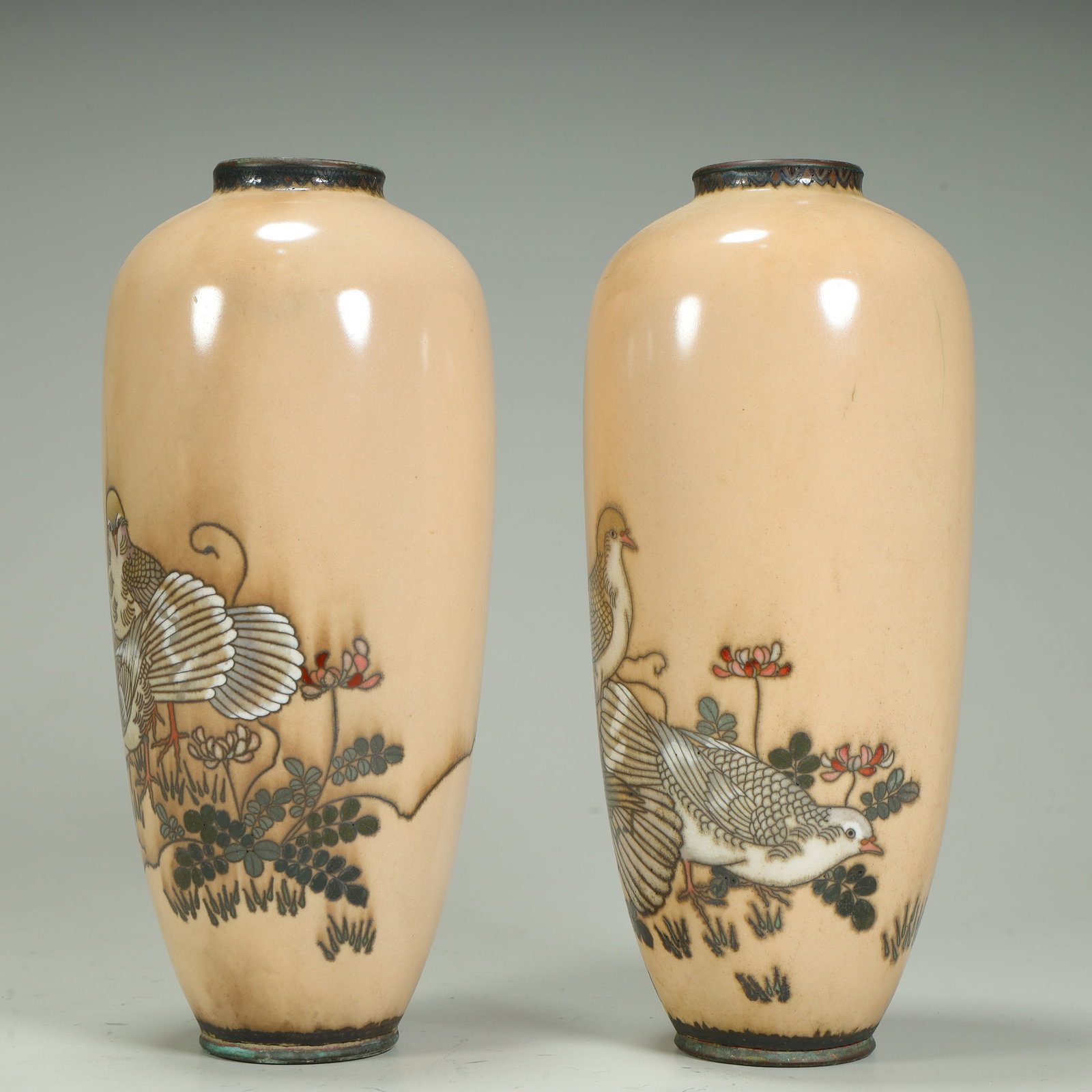 A cloisonné flat dove pattern bottle - 2