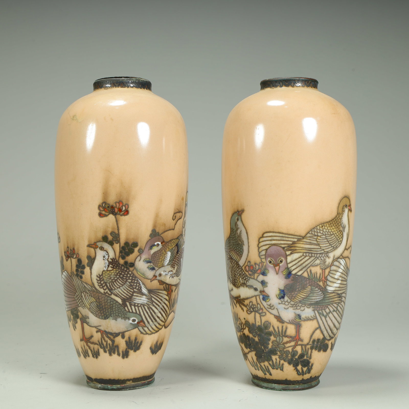 A cloisonné flat dove pattern bottle - 3