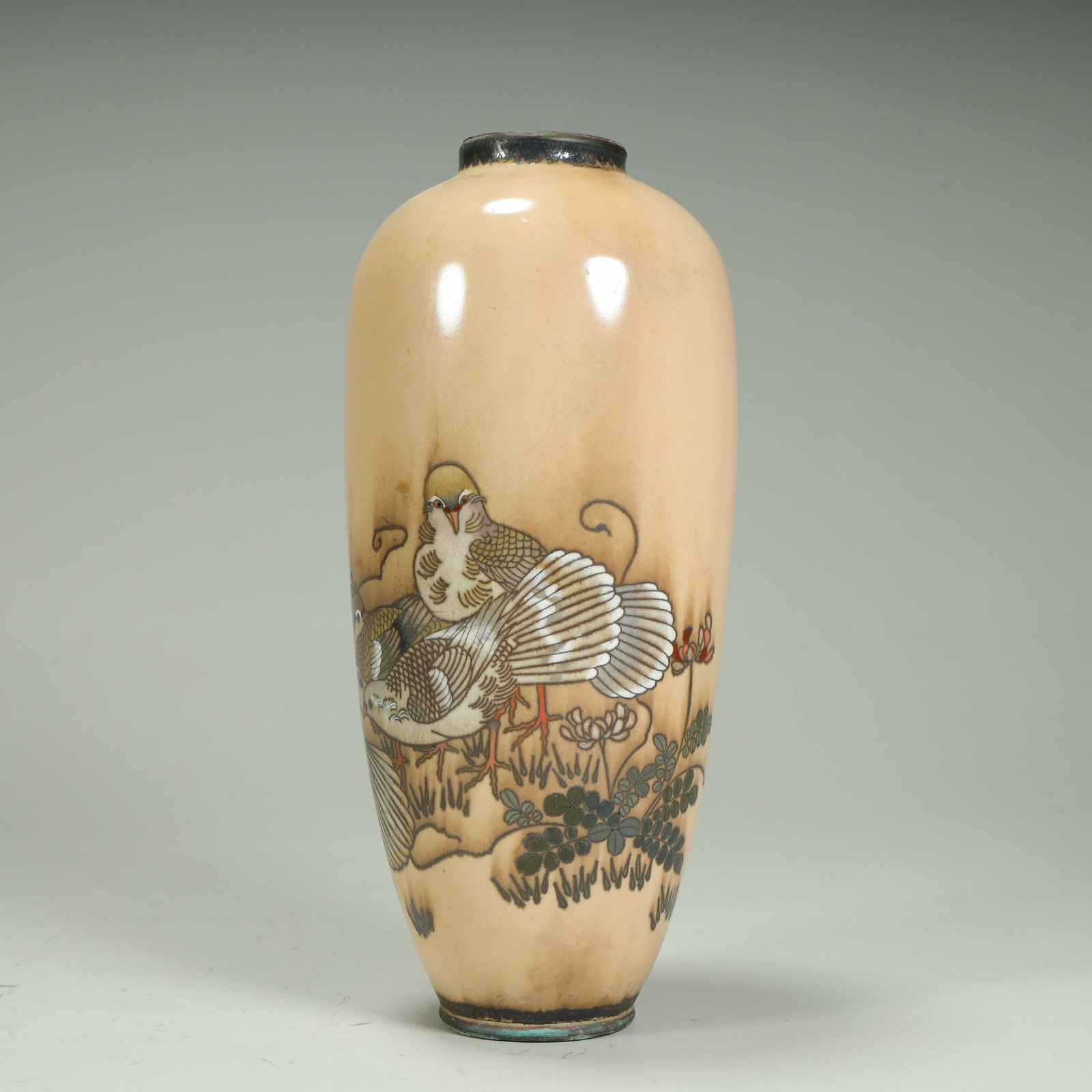 A cloisonné flat dove pattern bottle - 4