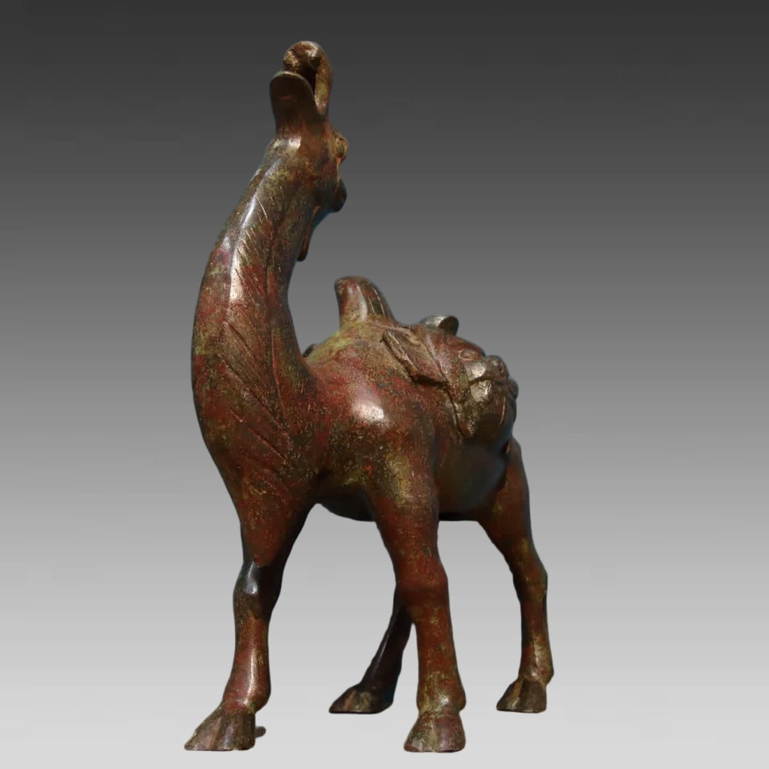 A bronze bag camel - 2