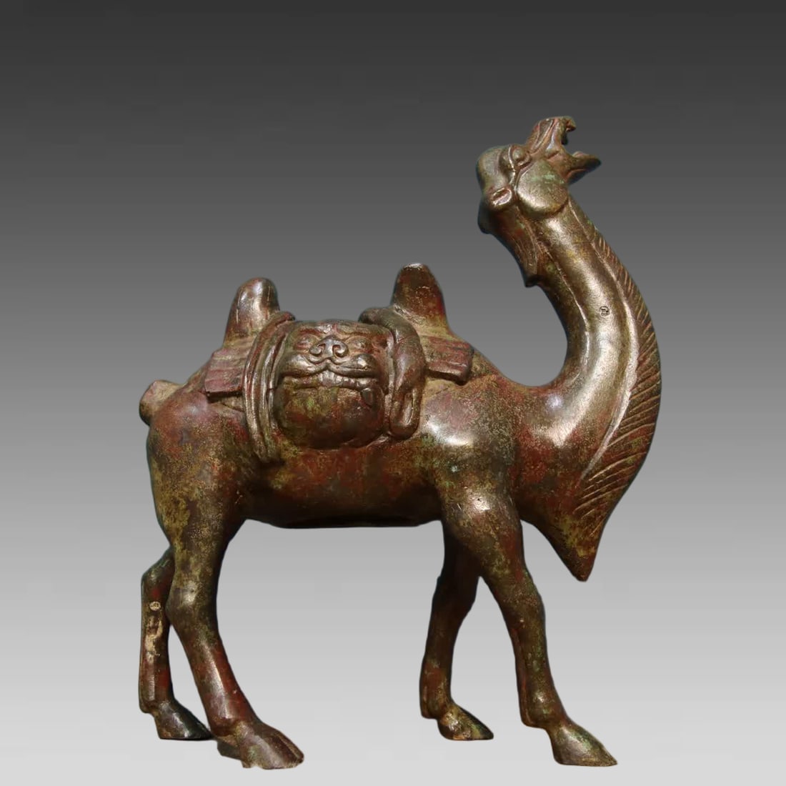 A bronze bag camel - 3