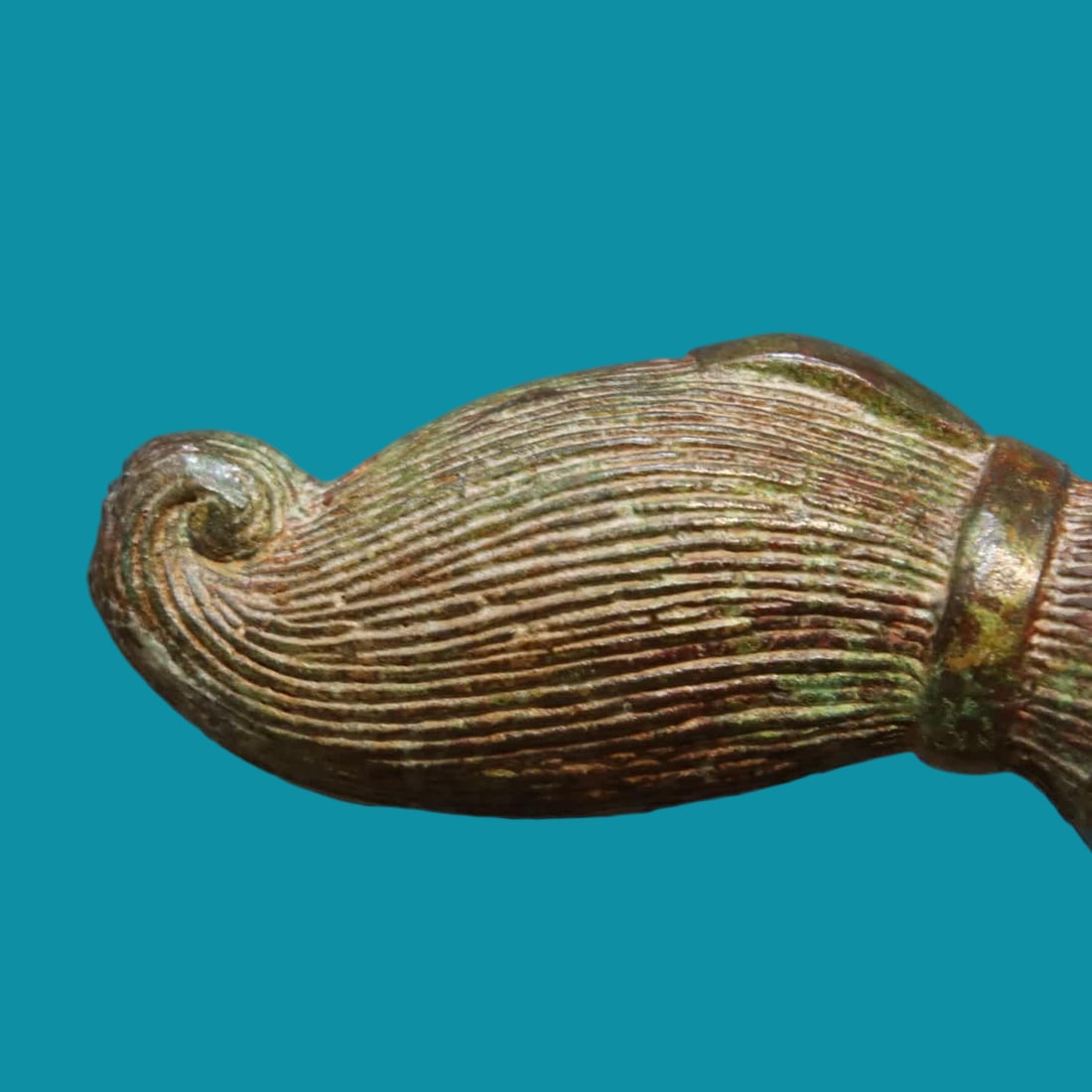 A bronze horse - 4