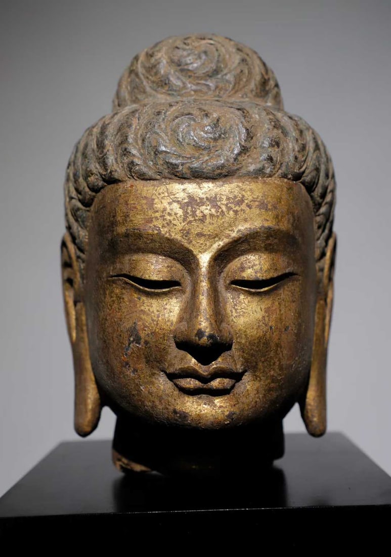 A Tang Dynasty bluestone gilt Buddha head: Tang Dynasty bluestone gilt Buddha head SIZE: H:28cm (The Dimensions Of All Batches Are Manually Measured.If You Need More Detailed Information, Please Contact Our Customer Service Before Bidding.)