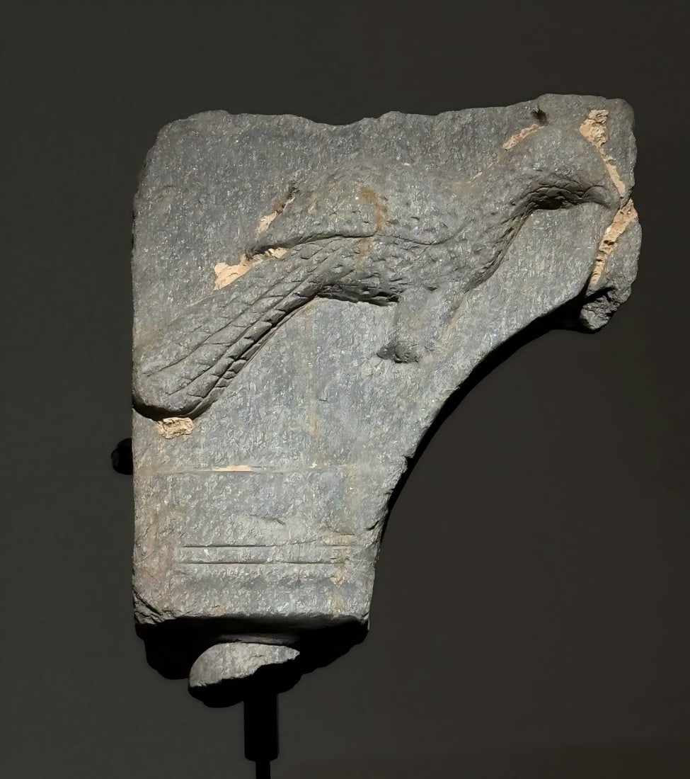 A Gandhara bird from the 2nd to 5th centuries AD: Gandhara Bird In Gandhara art, the image of birds is mainly represented as two sacred birds with deep religious symbolism: the Hamsa and the golden-winged bird (Garuda). 1. Hamsa: The sacred heavenly 