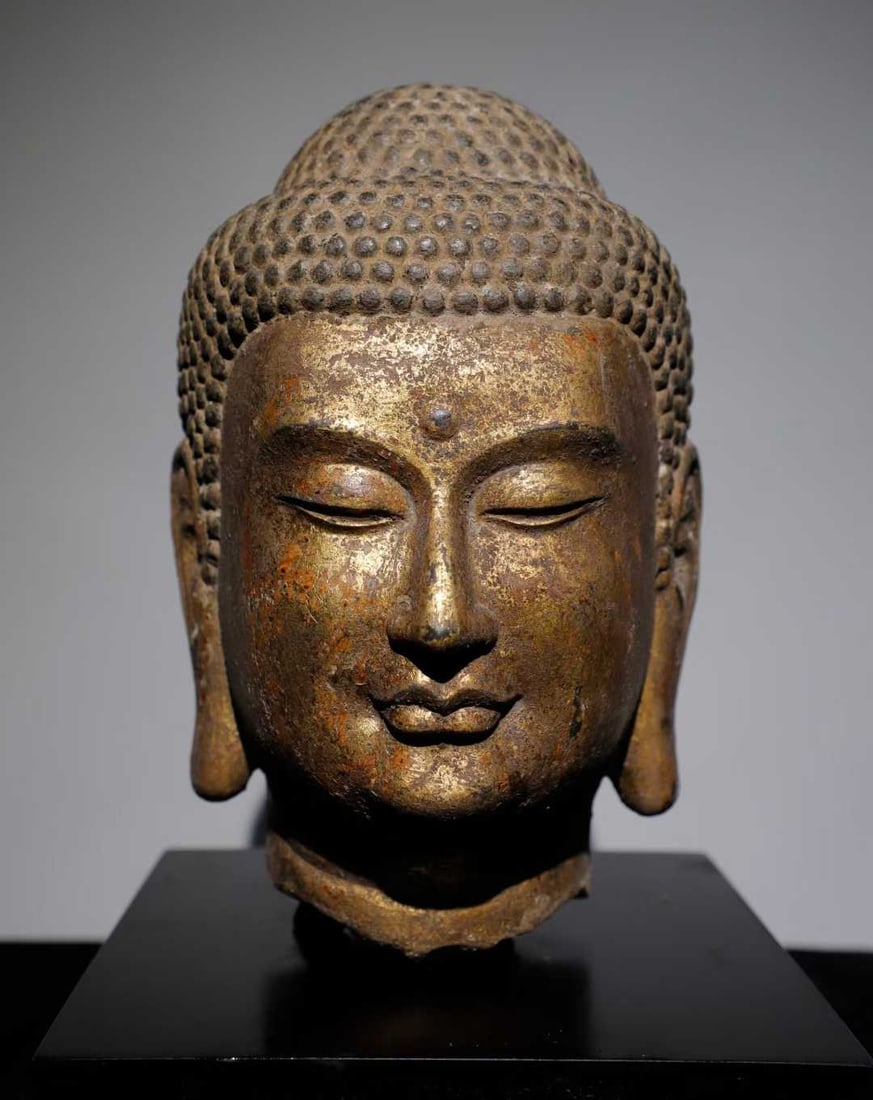 A Tang Dynasty bluestone gilt Buddha head: Tang Dynasty bluestone gilt Buddha head SIZE: H:30cm (The Dimensions Of All Batches Are Manually Measured.If You Need More Detailed Information, Please Contact Our Customer Service Before Bidding.)