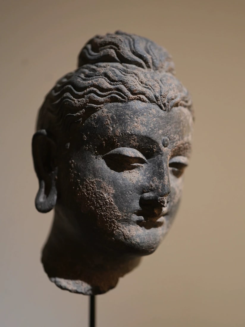A stone Gandhara Buddha head from the 2nd to 5th centuries AD: Gandhara Buddha head The stone quality is good, the alkali skin is properly cleaned, and a part is left to facilitate the identification of the standard silly door level carving craftsmanship is exqui