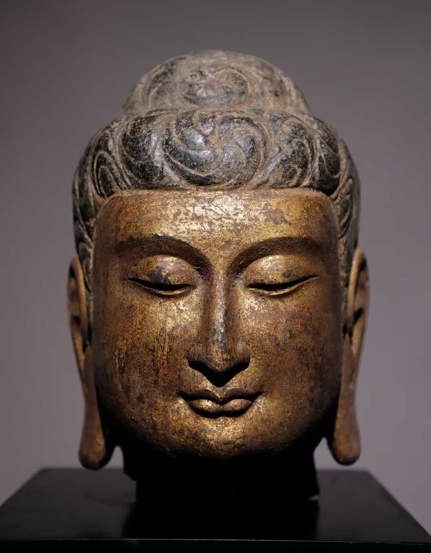 A Tang Dynasty bluestone gilt Buddha head: Tang Dynasty bluestone gilt Buddha head SIZE: H:28cm (The Dimensions Of All Batches Are Manually Measured.If You Need More Detailed Information, Please Contact Our Customer Service Before Bidding.)