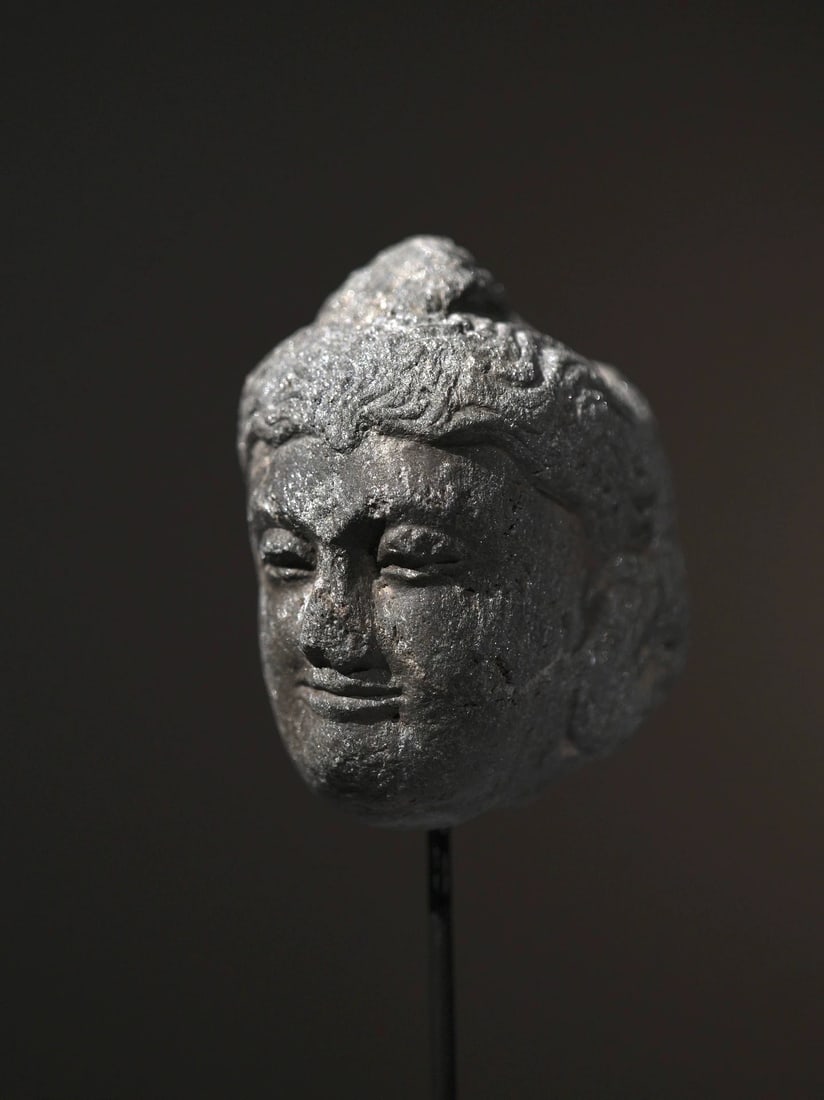 A Gandhara stone carved Buddha head from the 2nd to 5th centuries AD: Gandhara stone carved Buddha head SIZE: W:18cm H:26cm (The Dimensions Of All Batches Are Manually Measured.If You Need More Detailed Information, Please Contact Our Customer Service Before Bidding.)