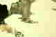 item-117822674=5