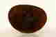 item-118510609=12