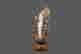 item-119856664=5