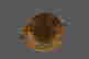 item-119856664=9