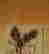 item-119857305=2