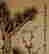 item-119857305=4