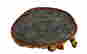item-125166248=8