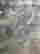 item-125166349=3