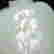 item-125166368=3