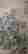 item-125166435=2