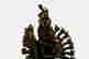 item-125166456=8