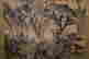 item-126095964=4