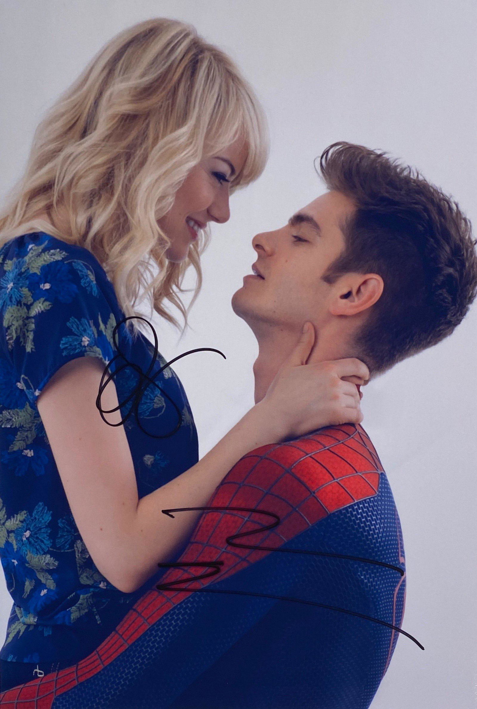 Autograph Signed Amazing Spiderman Photo (1 of 1)