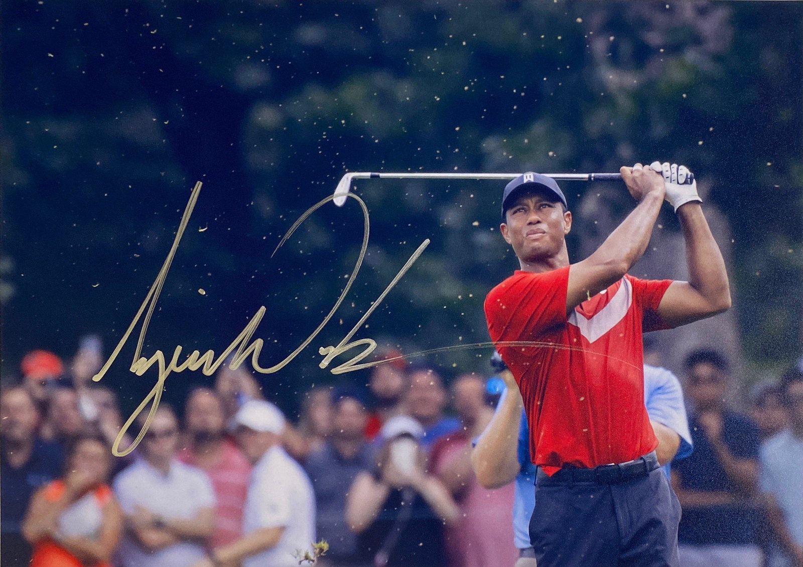 Autograph Signed Tiger Woods Photo: Autograph Name(s): Tiger WoodsProduct Category: 8 x 10 Genuie Autographed Photo Excellent Condition and Certified We offer combined shipping and ship worldwide.Please read terms and condition regardin
