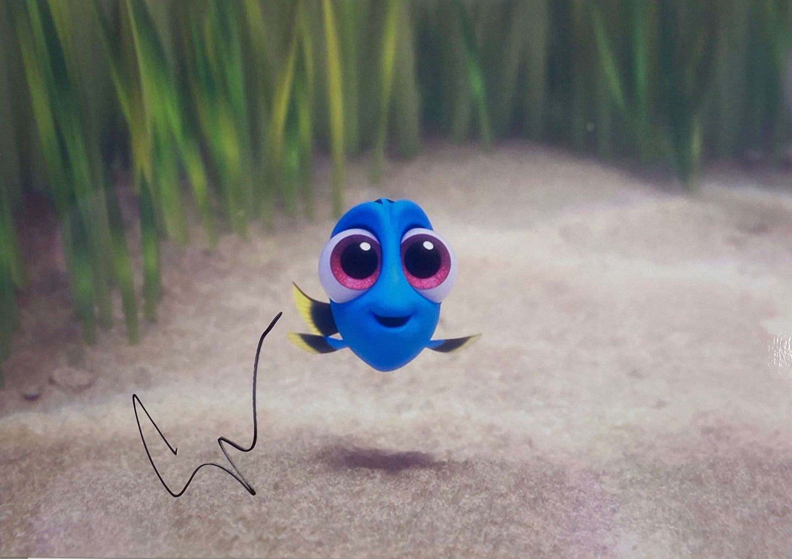 Autograph Signed Ellen DeGeneres Photo (1 of 1)