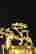 item-120446050=2