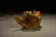 item-131801485=6