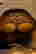 item-131802022=15