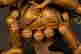 item-131802022=5