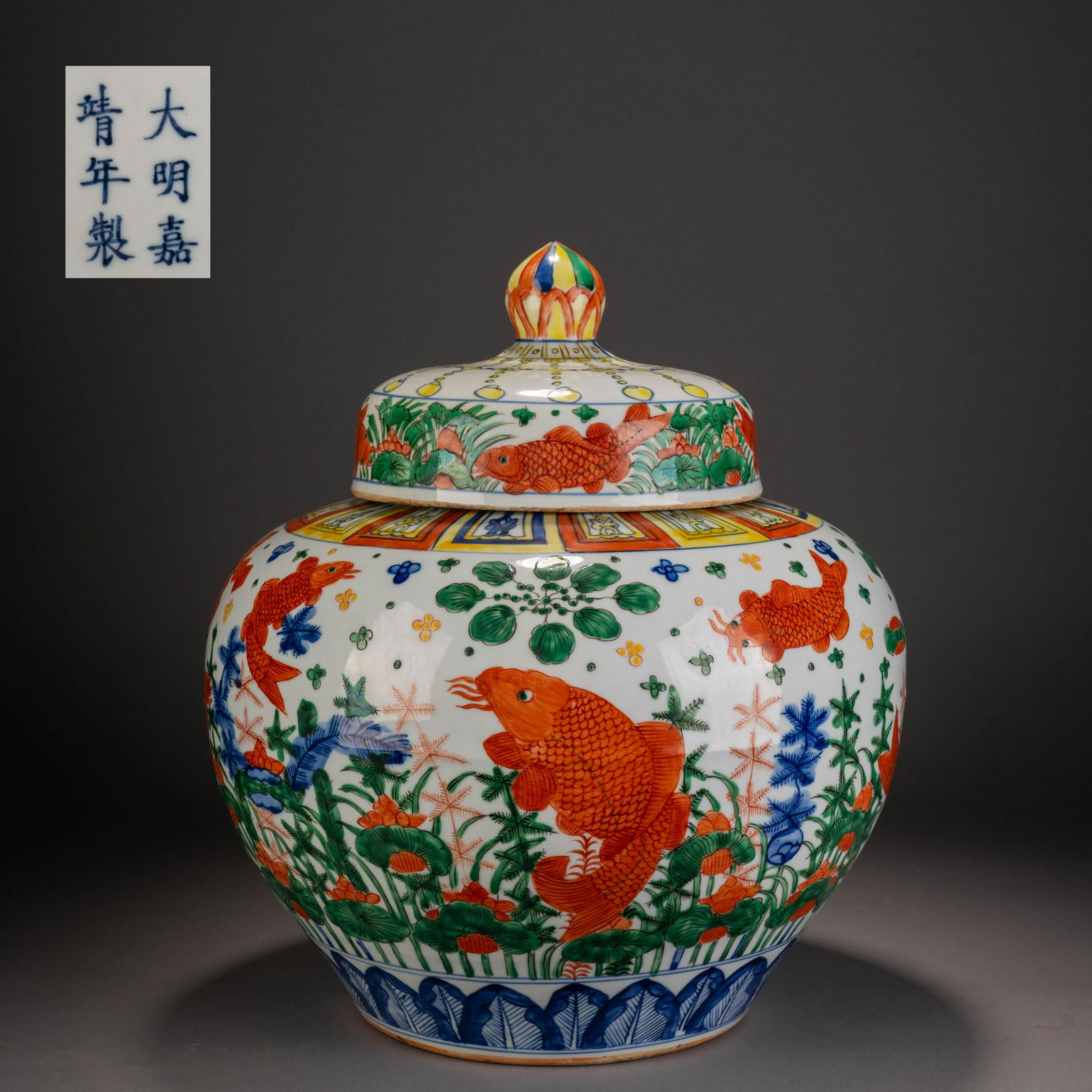 Ming Dynasty colorful fish and algae pattern lid jar (1 of 11)