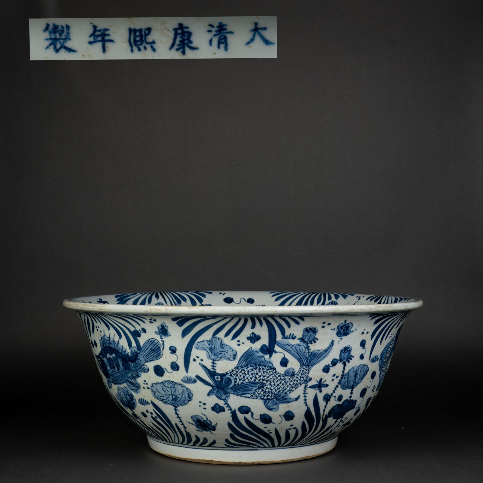 Qing Kangxi blue and white fish and algae tank (1 of 11)