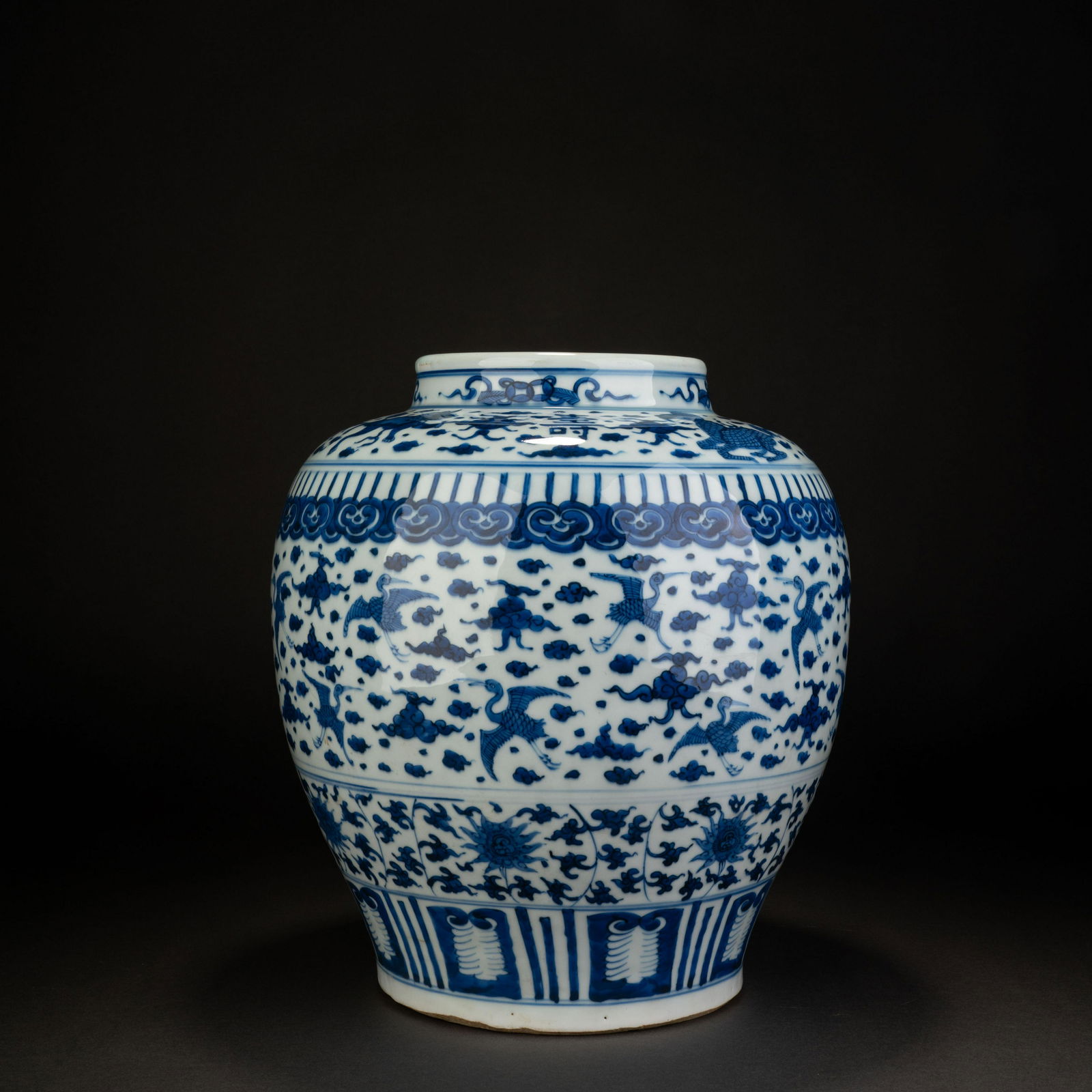 Qing dynasty blue and white auspicious animal pattern longevity jar (1 of 9)