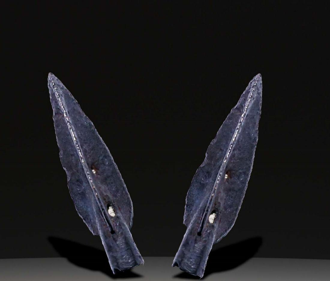 Ancient  Arrowheads (1 of 1)