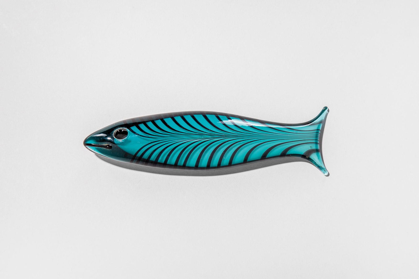 Ken Scott - Pesce (1 of 1)