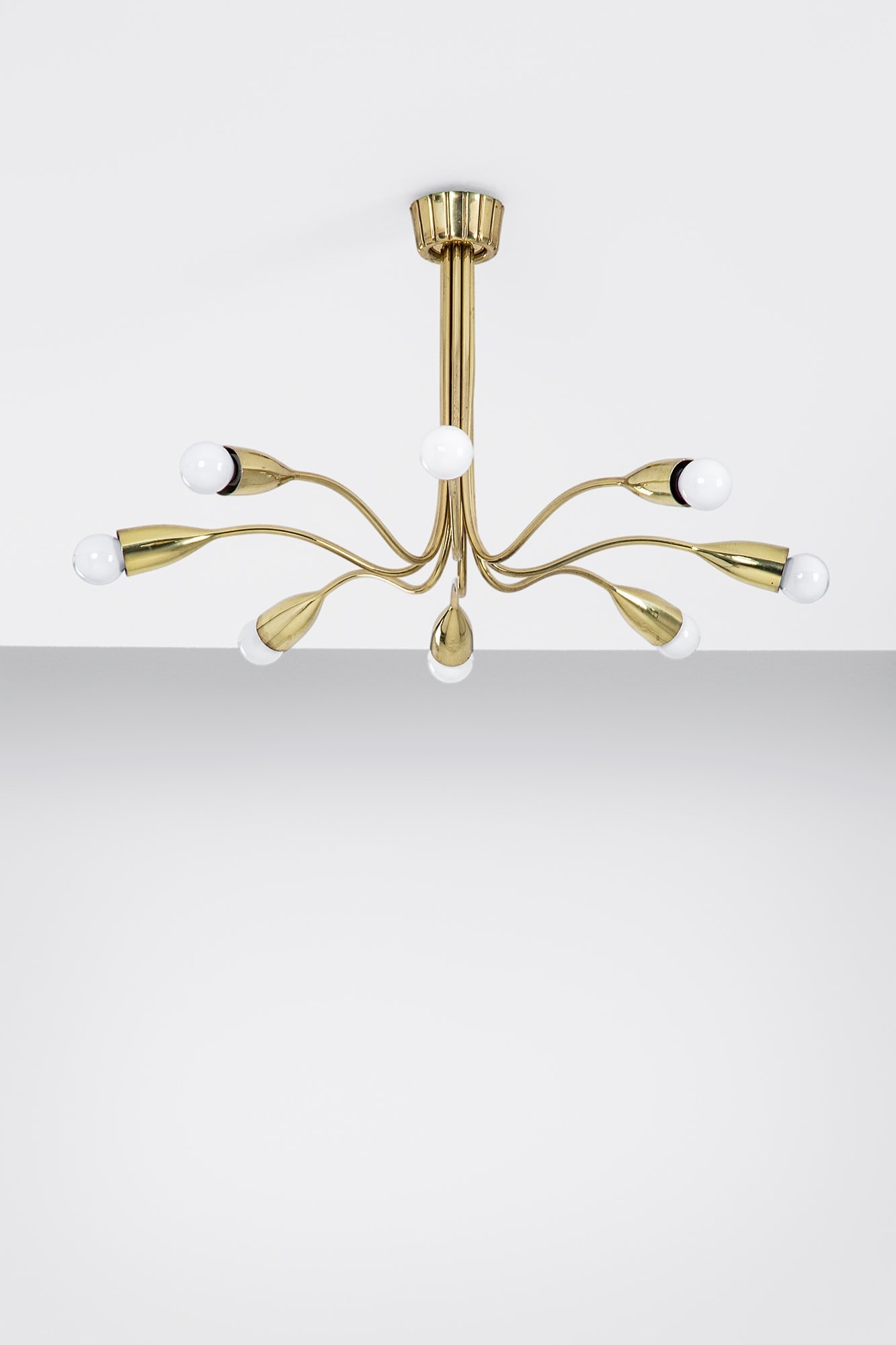 Oscar Torlasco (attr.). Lampadario a otto luci: Lampadario a otto luci Ottone dorato. 1950 ca. h cm 40, diam. cm 58