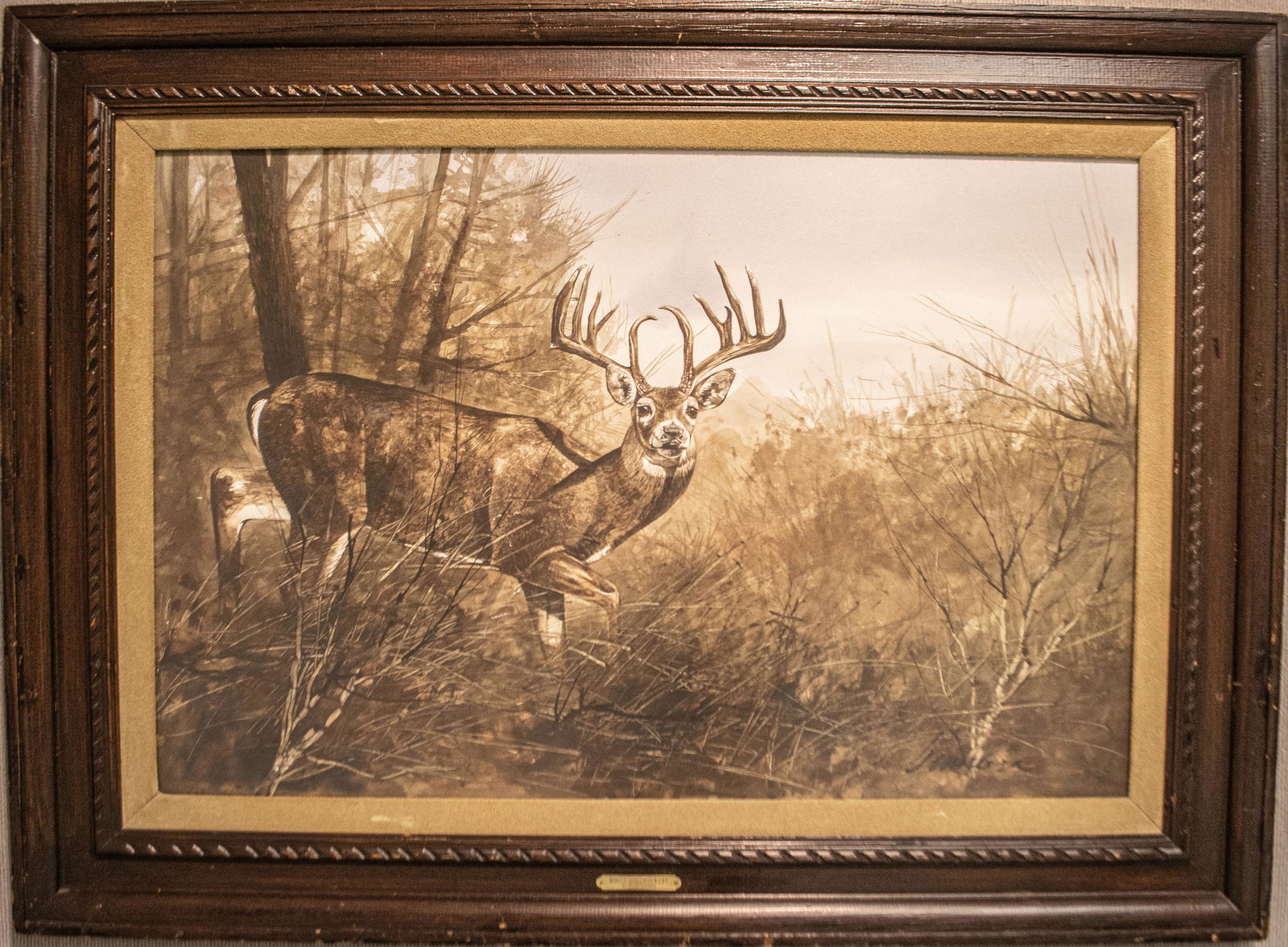 Boone And Crockett                   by Ragan Gennusa (1 of 1)