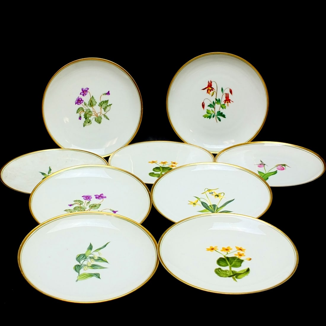 Nine French Pitt Petrii Porcelain Plates: Set of Nine French Pitt Petrii Botanical Porcelain Plates. Signed and titled on the obverse side. Measures 9-1/2" diameter. Condition: Some rubbing to the gilded trim, 2 plates have chips to the rim o
