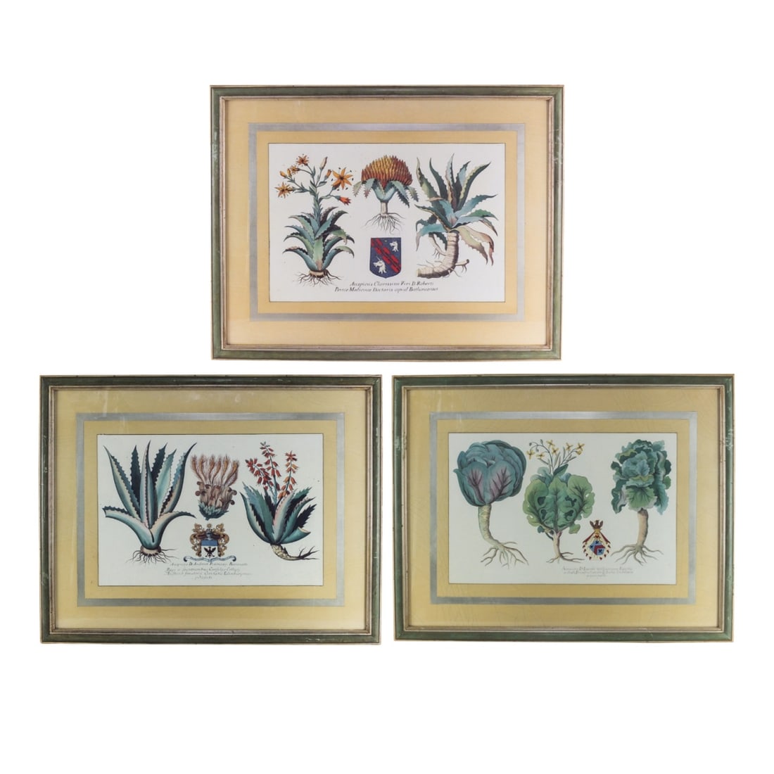 Grouping of Botanical Prints (1 of 13)